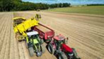 Landwirtschaft: Studie warnt: EU-Agrarreform trifft Sachsen besonders hart