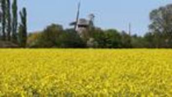 wettervorhersage: sommerliche temperaturen zum pfingstwochenende im norden