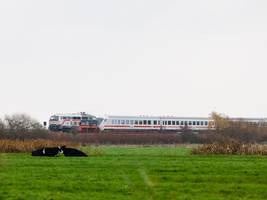 Aus- und Neubau: Bundestag billigt Bahnstrecken – aber wer soll die bezahlen?