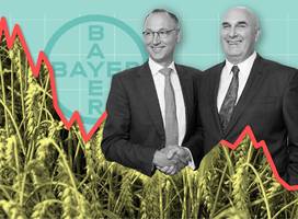 Bayer und Monsanto: „Eine Dekade des Niedergangs
