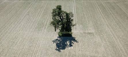 Ist Klimaschutz nicht mehr so wichtig?