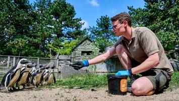 Artgerechte Haltung im Tierpark? „Tierschützer und wir wollen letztlich dasselbe“