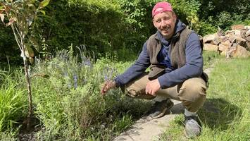 the monk garden: wo die vielleicht besten kräuter berlins wachsen