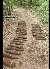 sprengstoff-fund in berlin-pankow: 59 granaten im wald entdeckt