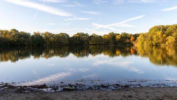 Wieder Blaualgen-Alarm im Boberger See: So gefährlich ist Kontakt für Menschen