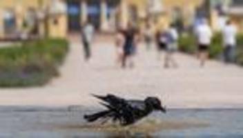 wetter: bisher wärmster tag des jahres – hier lohnt abkühlung