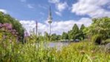 katharina fegebank: »die dänen sehen vieles pragmatischer«