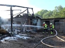 Großbrand im Saarland: Geflügelhof steht in Flammen - Tausende Hühner sterben