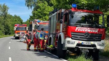erneut steht in kaltenkirchen wald in flammen: polizei prüft brandstiftung