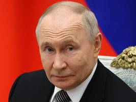 Wladimir Putin: Hauptsache, alle haben Angst vor ihm