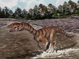 skurriler zweig der evolution: zweibeiniges krokodil ohne zähne entdeckt