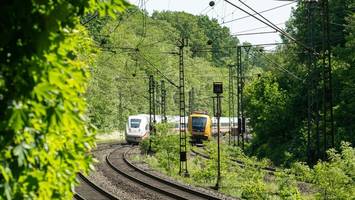 züge rollen nach böschungsbrand wieder. doch warum riss die oberleitung?