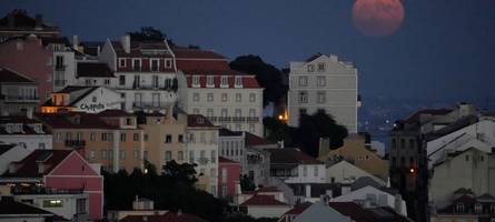 war es weltuntergangs-wahn? der fall zweier ausgesetzter kinder in portugal