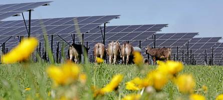 Wo sind in und um Mindelheim PV-Anlagen und Windräder denkbar?