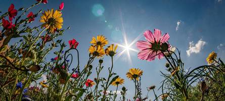 Sommerhitze in Bayern: DWD erwartet bis zu 35 Grad