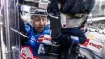 deutsche eishockey liga: nürnberg ice tigers holen verteidiger aus ingolstadt