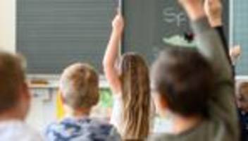 landtagswahl: verbände warnen vor afd-plänen für bildung in sachsen-anhalt