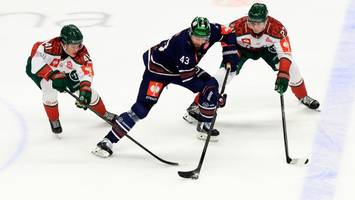 eisbären: die europatour steht, am team wird gebastelt