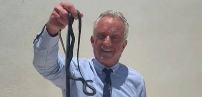 Robert F. Kennedy Jr.: US-Gesundheitsminister lässt sich beim Schlangen-Fangen filmen