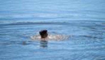 Umweltgift in Badesee: Zu viel Umweltgift in Badesee? - Behörde warnt