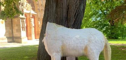 Korbach: Unbekannte köpfen Einhorn – oder war es doch der, dessen Name nicht genannt werden darf?