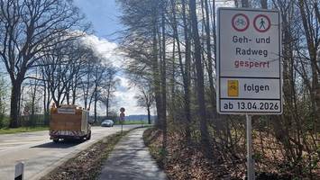 B5 wird voll gesperrt: Gefahrenbäume müssen gefällt werden