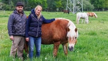 dringender hilferuf aus sülldorf: familienhof ramcke droht das aus