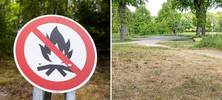 augsburger forst-chef warnt vor hoher waldbrandgefahr – was fast immer die ursache ist