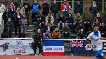 riesige investitionen: wie tasmania den regionalliga-aufstieg bewältigt