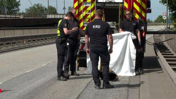 Bombenfund im ehemaligen Freihafen – Sprengstoff-Experten im Einsatz