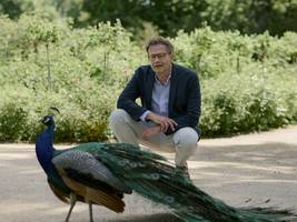 Literatur: Als die Farben leuchten lernten