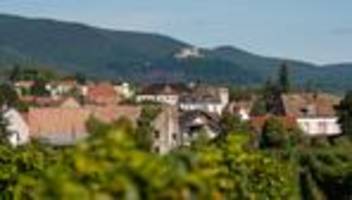 Feier mit Tradition: Steinmeier eröffnet Demokratiefest in der Pfalz