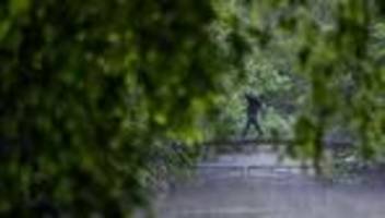 Wetter: «Rumms» - Schauer und Gewitter verdrängen Hitze