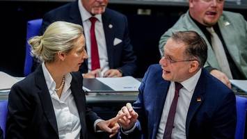mehrheit rechnet mit afd-ministerpräsident in einem bundesland
