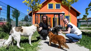 millionen-neubau eröffnet: berliner geben „alles für die tiere“