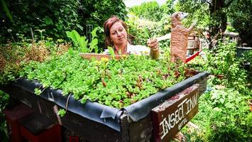 Von wegen Unkraut: So wird der Garten zur Nahrungsquelle