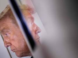 die usa unter donald trump: mr. t und das usa-paradox
