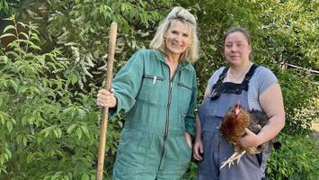 Landwirtin für einen Tag – mit dem Treibebrett durch den Schweinestall