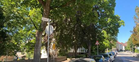 Die Schülestraße mit ihrer etwas versteckten Brücke wird zur Einbahnstraße