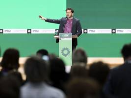 Angst um Basisdemokratie: Reform der Grünen: Gericht wird Urabstimmung wohl zulassen
