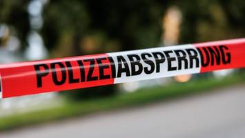 Motorradfahrer überfährt Hund in Kirchwerder – Fahrer wird schwer verletzt