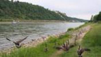 Vorhersage: Ruhiges Wetter zum Wochenstart an Rhein und Saar