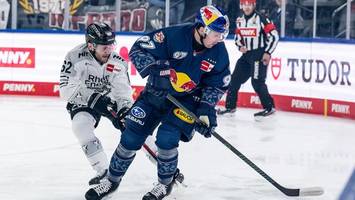 Eisbären bestätigen die Rückkehr eines alten Bekannten