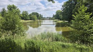 Volkspark Mariendorf wird saniert – nach Vorbild der Everglades in den USA