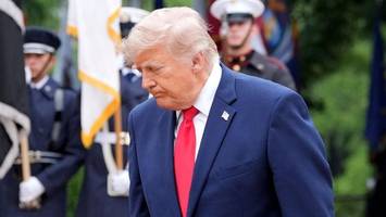 Gangster-in-Chief: Diesmal kommt Donald Trump nicht so leicht davon