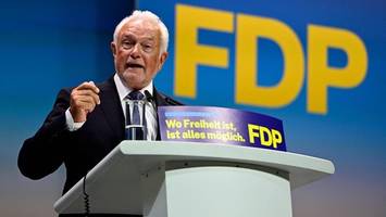 Blitzkrieg in der FDP – doch Kubickis Rechnung geht auf