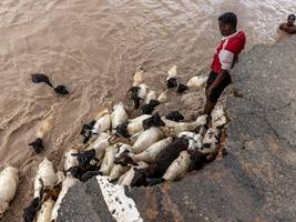 Klimaphänomen: El Niño kommt: „Jetzt müssen wir uns vorbereiten“