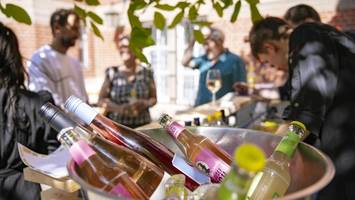 Hamburger Museum lädt zu Drinks und Musik in den Sommergarten