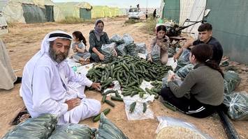 Jesiden in Shingal: Warum die Rückkehr für viele keine Option ist