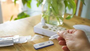 cholesterin zuhause messen: was schnelltests wirklich bringen
